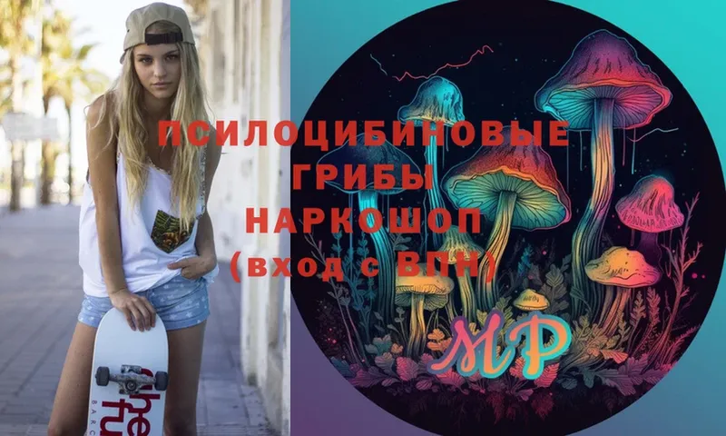 Псилоцибиновые грибы Psilocybe  где найти   ОМГ ОМГ ССЫЛКА  Боровичи 